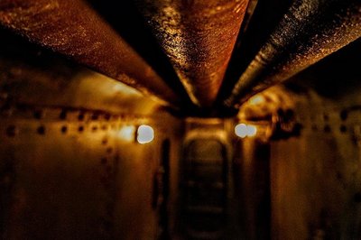 언리쉬 이스케이프 (UNLEASH Escape)